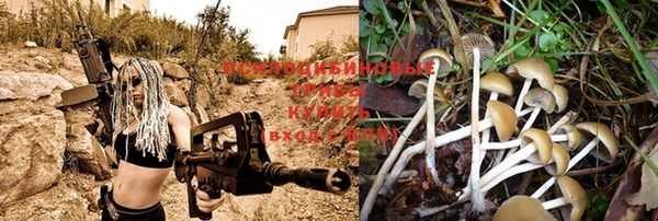 кокс Балабаново