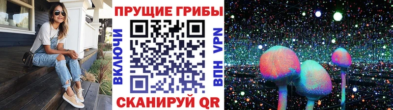 дарнет шоп  Верея  Галлюциногенные грибы мицелий 